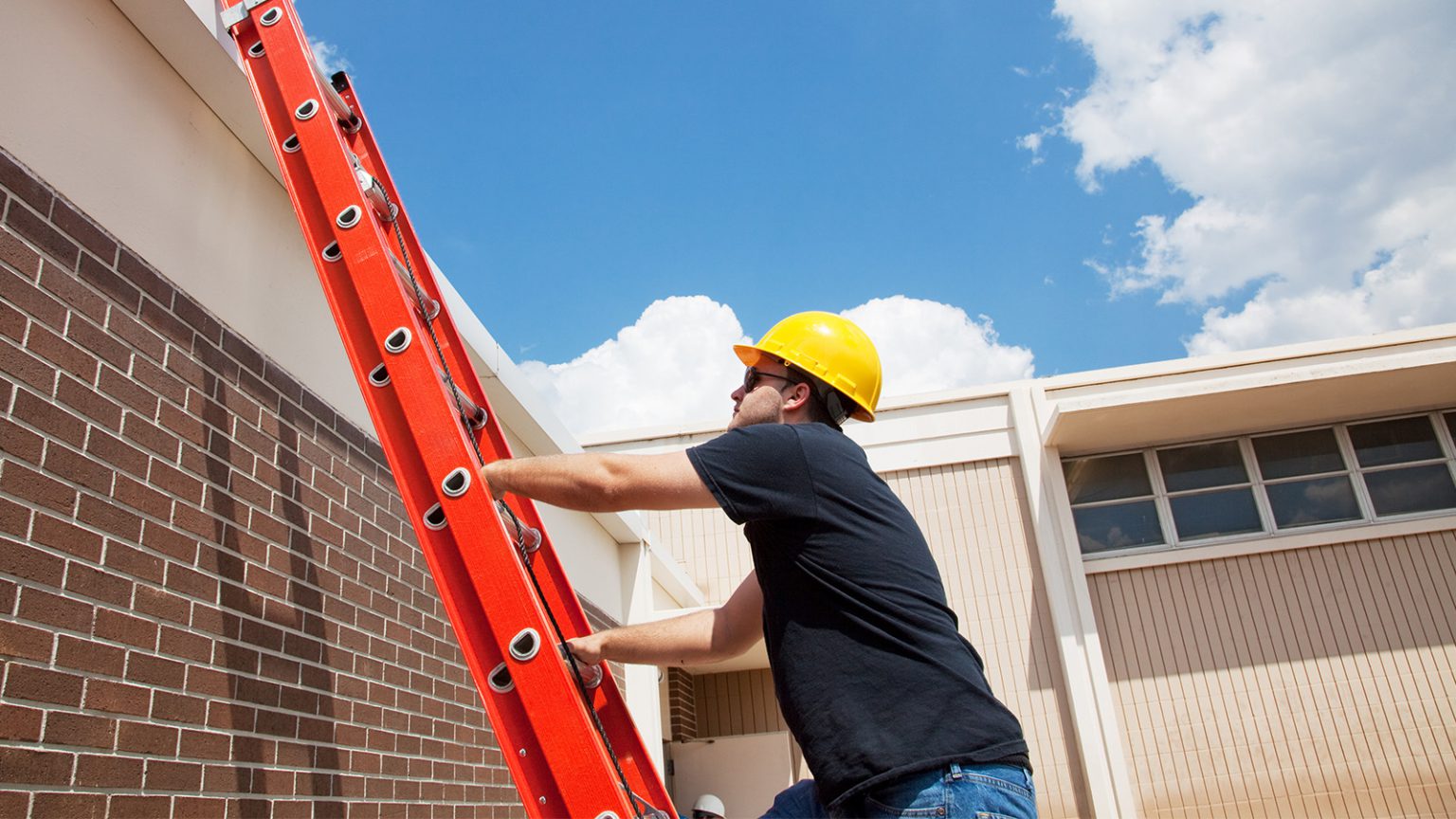 Advanced Media Solutions Michigan site Development